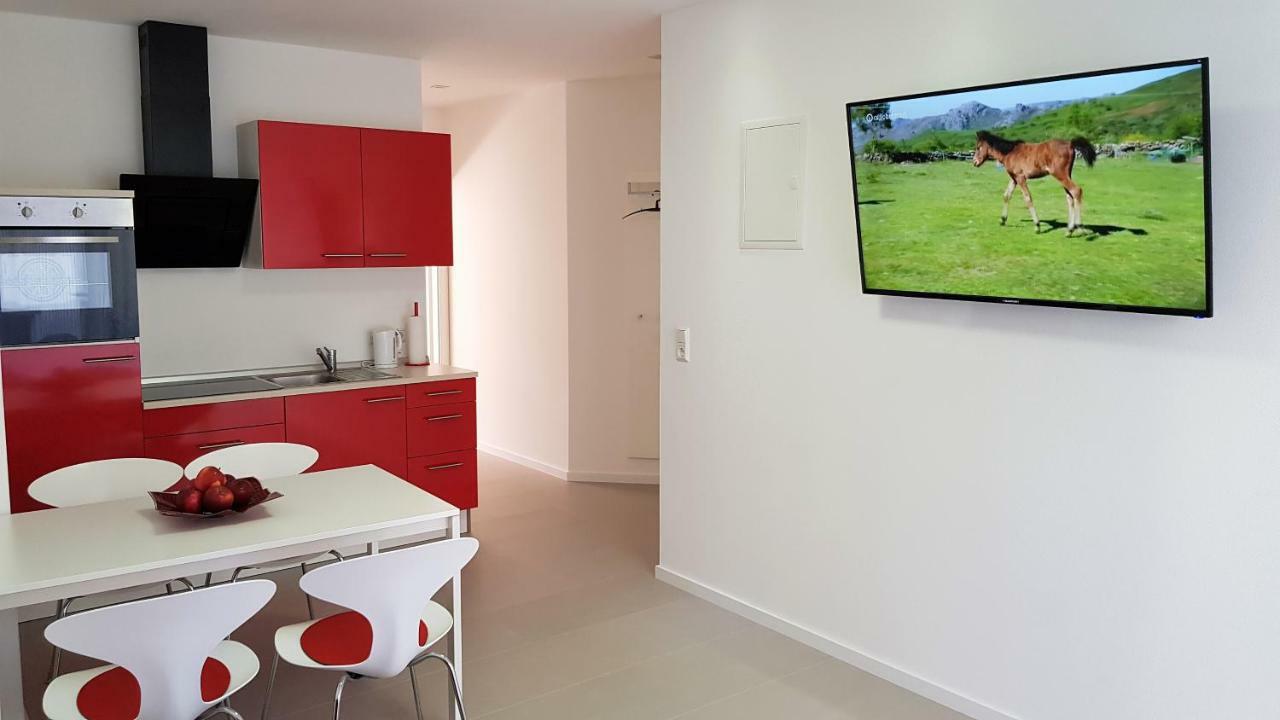 Apartment Hankenstrasse